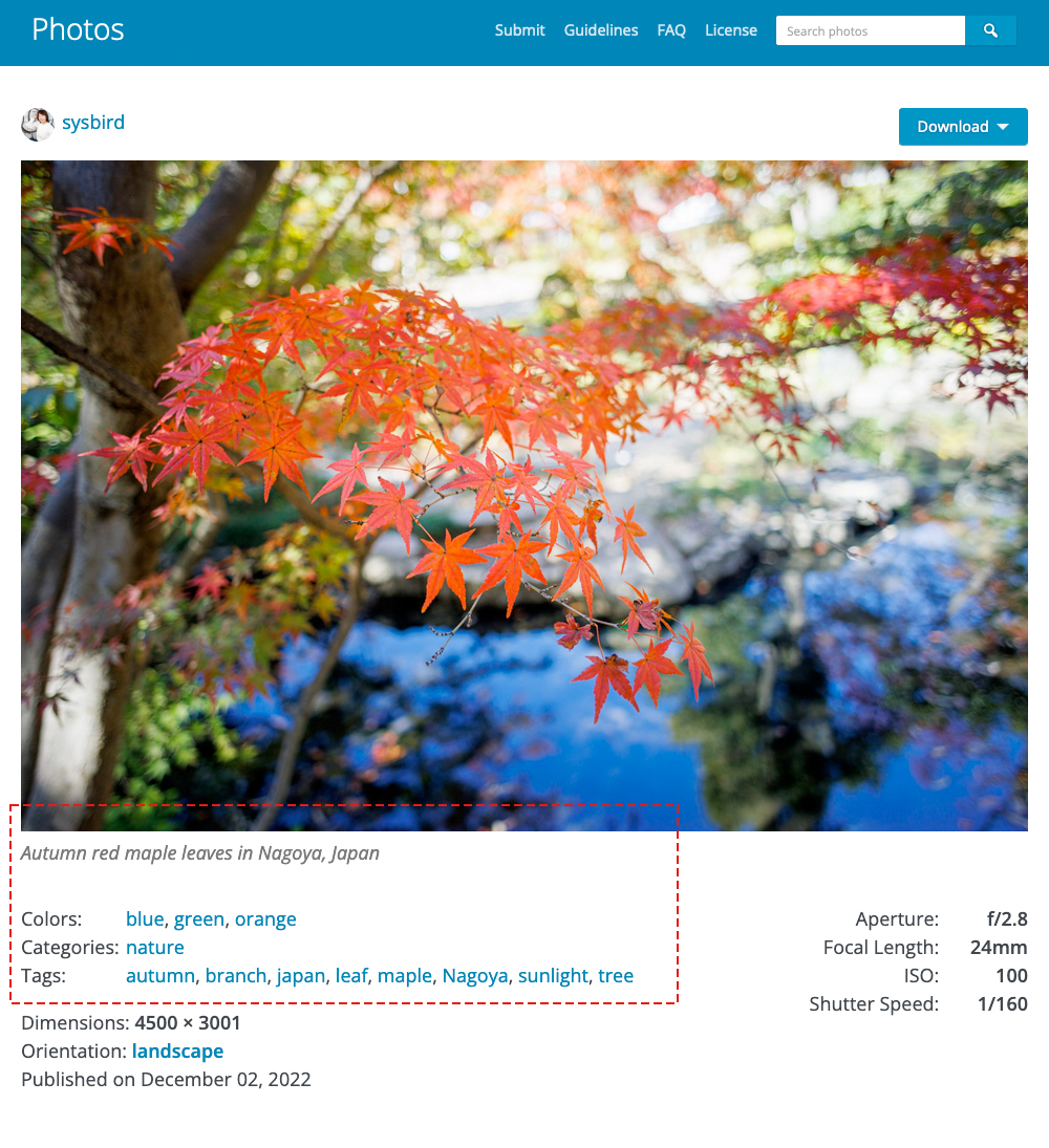 WordPress フォトコントリビューターになろう!ベクトルでもフォトウォークをやってみた